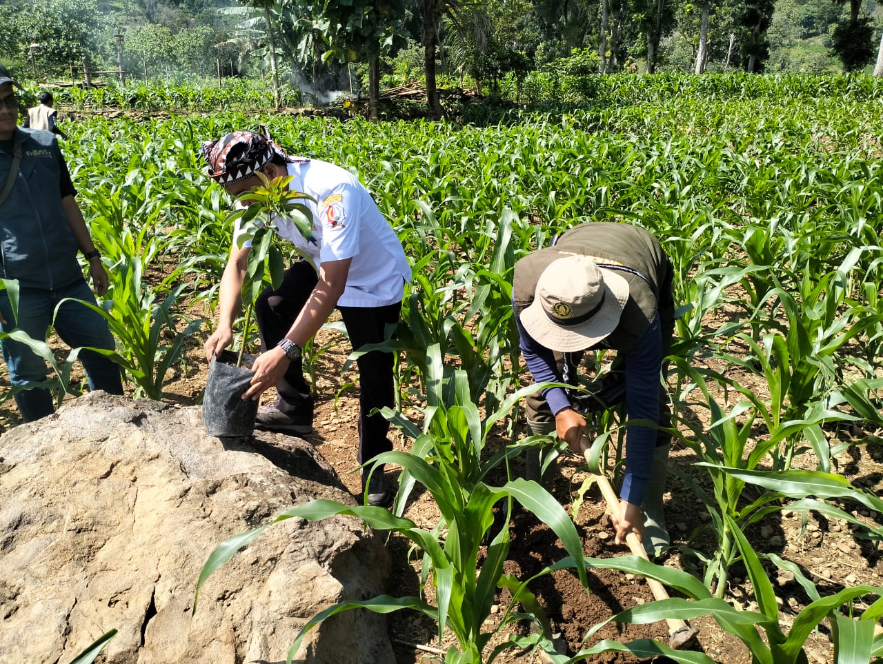 Gotong Royong Penanaman Pohon di Kawasan Wisata Banyu Kuning