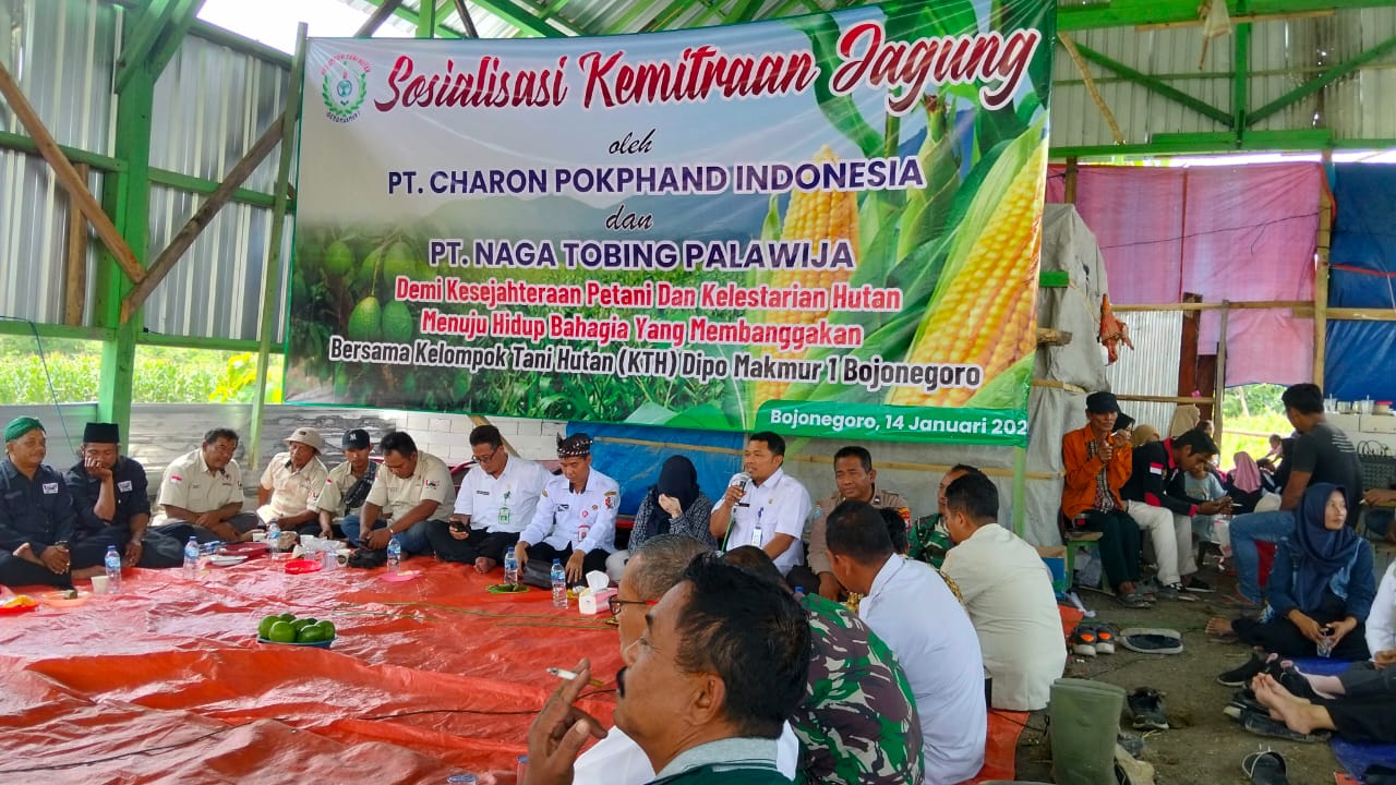 Sosialisasi Kemitraan Jagung dan Gerakan Tanam Pohon Petik Non Tebang