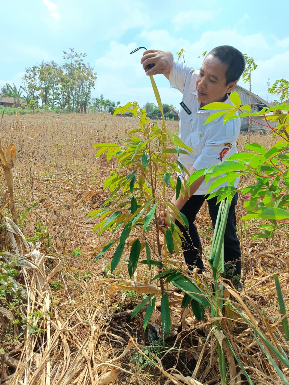 Monitoring Bibit Durian di Desa Krondonan, Langkah Awal Menjaga Keberhasilan NGGON SAHDU